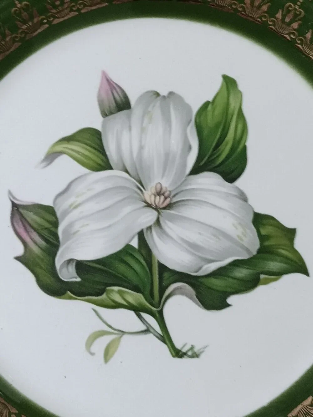 Set of 2 Vintage Trillium Forest Green 22K Gold 10” Dinner Plates MINT! LQQK!